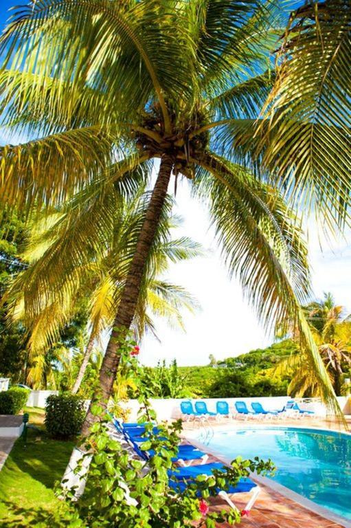 Dickenson Bay Cottages Cedar Grove Екстер'єр фото